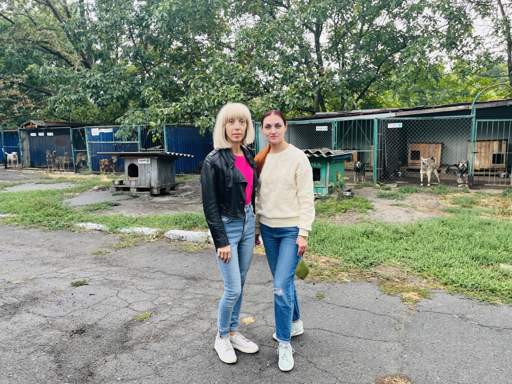 Співробітники кафедри гістології, цитології та ембріології відвідали притулок для тварин