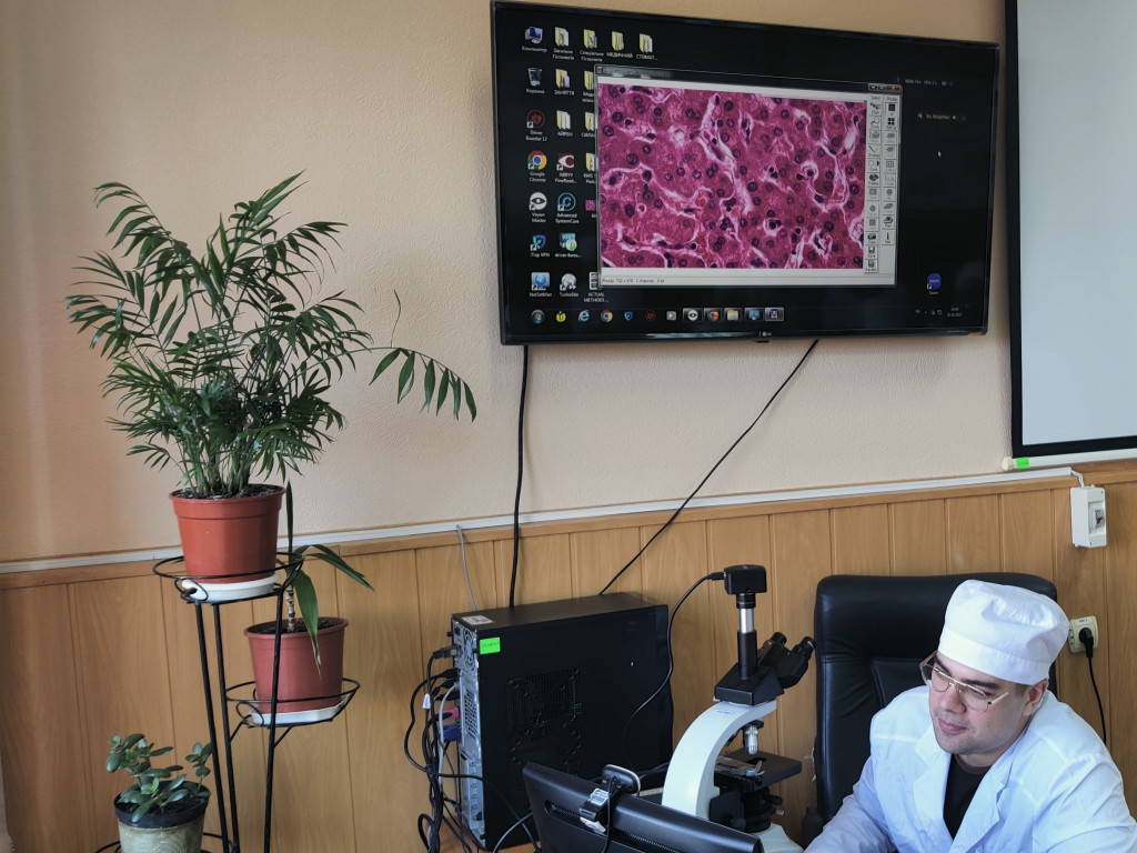 На кафедрі гістології, цитології та ембріології відбулося чергове засідання студентської наукової групи