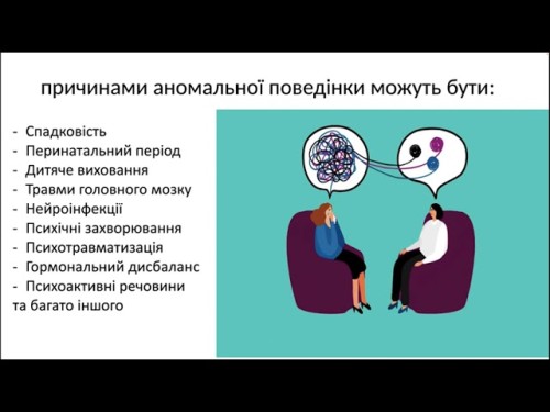 Відеотека