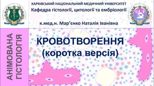 Відеотека.