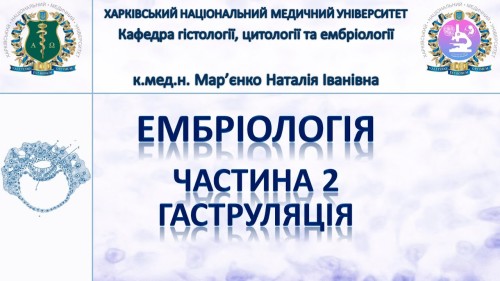 Відеотека.
