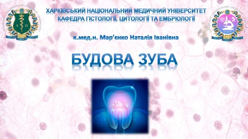 Відеотека.