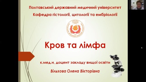 Відеотека.