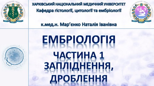 Відеотека.