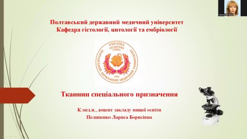 Відеотека.