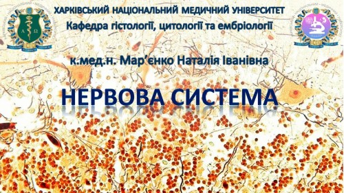 Відеотека.